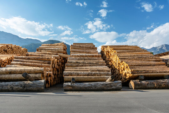 Holzindustrie Lagerplatz gesch&auml;lte Baumst&auml;mme gestapeltes Schichtholz frontal vor Gebirge &ndash; Timber Industry Logs with Mountain