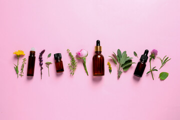 Bottles of essential oils, different herbs and flowers on pink background, flat lay