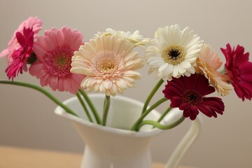 Jug with beautiful gerbera flowers on blurred background, closeup