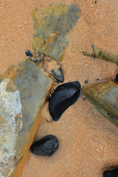 Black and coloured rocks in sand