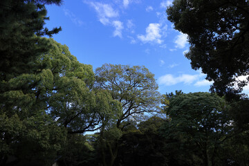 東京湾岸風景　澄み切った秋の空