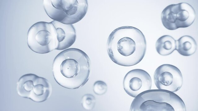 Cell division or cell connection, microscopic of Human cells, 3d Animation