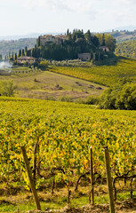 Fototapeta na wymiar Le colline e i vigneti del Castello di Brolio sul percorso dell'Eroica . Panorama autunnale. Chianti, Toscana. Italia