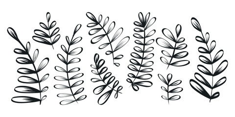 Set of vector isolated decorative black branches with leaves. Collection of botanical twigs, sketch style.