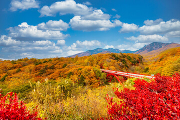 八ヶ岳の紅葉