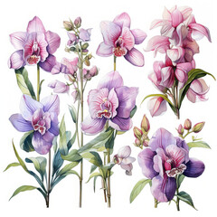 orchids art scenic set of pink purple flowers