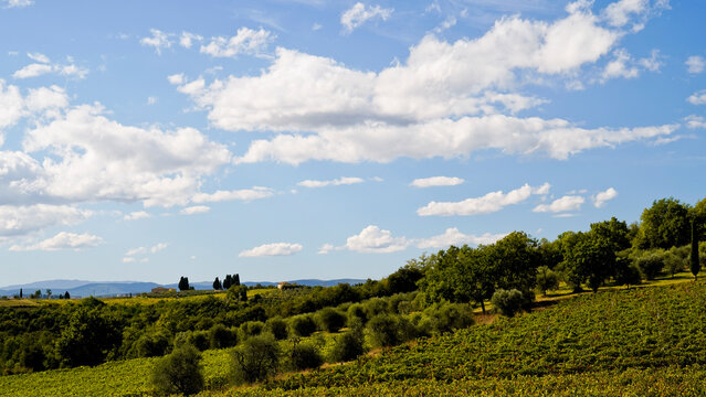 Le colline e i vigneti sul percorso dell'Eroica . Panorama autunnale. Chianti, Toscana. Italia-8