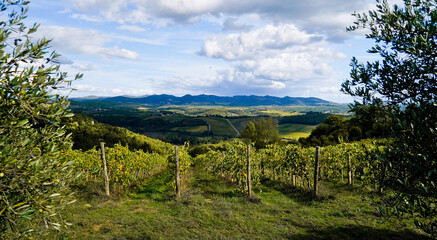 Fototapeta na wymiar Le colline e i vigneti sul percorso dell'Eroica . Panorama autunnale. Chianti, Toscana. Italia-8