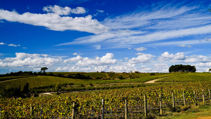 Le colline e i vigneti sul percorso dell'Eroica . Panorama autunnale. Chianti, Toscana. Italia-8