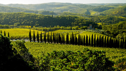 Le colline e i vigneti sul percorso dell'Eroica . Panorama autunnale. Chianti, Toscana. Italia - obrazy, fototapety, plakaty