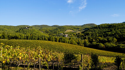 Fototapeta na wymiar Le colline e i vigneti sul percorso dell'Eroica . Panorama autunnale. Chianti, Toscana. Italia
