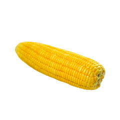 Peeled corn on the cob on a white background. Corn on the cob kernels peeled , Corn on the cob kernels peeled. Cob of ripe sweet corn isolated . Sweet boiledcob isolated on white background