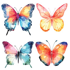 set of colorful butterflies isolated on watercolor style