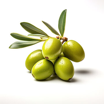 Close up of green olives branch with leaf on white background for advertising design product