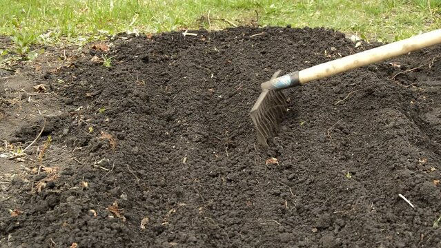 Loosening the soil in the home garden with a rake, preparing the soil for planting seeds and seedlings. The concept of agriculture, food cultivation