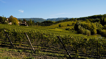 Le colline e i vigneti sul percorso dell'Eroica . Panorama autunnale. Chianti, Toscana. Italia