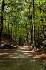 Obraz premium Landscapes of the pyrenees