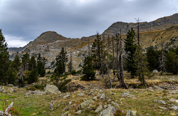 Landscapes of the pyrenees