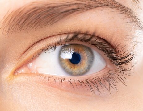 Close-up photo of a beautiful brown eye. Generative AI.
