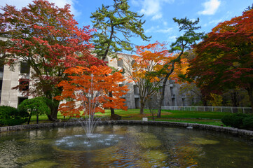 秋晴れの笹流れダム公園