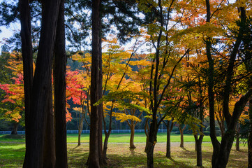 秋晴れの笹流れダム公園