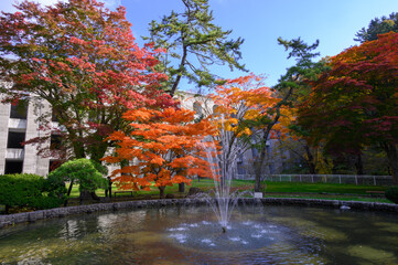 秋晴れの笹流れダム公園