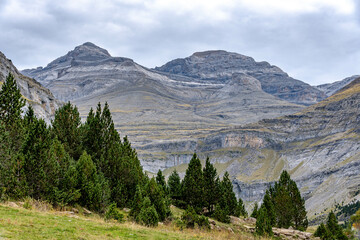 Landsacpes of the pyrenees