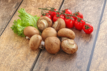 Raw brown royal champignon heap