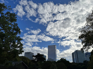 秋空の浜離宮恩賜庭園あたり