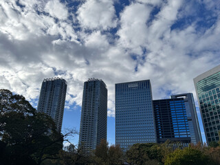 Fototapeta premium 秋空の浜離宮恩賜庭園あたり
