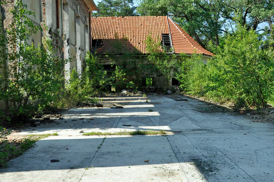 Zarośnięty dziko rosnącymi roślinami fragment zrujnowanego budynku kasyna wojskowego w Bornem - Sulinowie. Polska. 