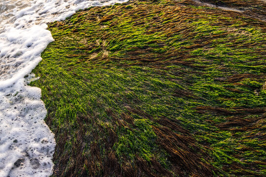 Shandong rongcheng: into the mountain sea reefs, moss, spray