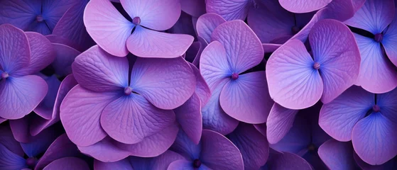 Möbelaufkleber Close-up of dew-kissed purple flowers. © smth.design