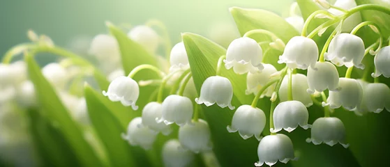 Fototapeten Soft focus macro view of a Lily-of-the-valley bloom. © smth.design