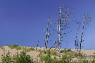 Slowinski Park Narodowy with the largest stretch of moving sand dunes in Europe. The dunes can move by up to 10 meters every year, sometimes are called a sandy desert. 