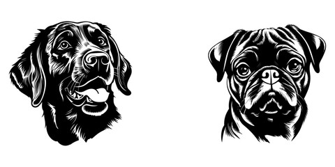 Set of breeds Dogs, puppy, vector illustration, Generative Ai. - obrazy, fototapety, plakaty