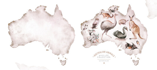 Watercolor australian map cartoon kangaroo, ostrich Emu , koala and flying fox, owl, Echidna . Australian Black Swan and numbat Kookaburra , cockatoo kids illustration. Nursery