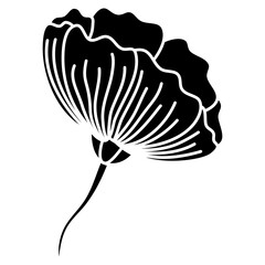 illustration of a plant flower