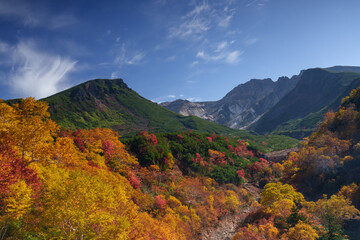 十勝岳の紅葉風景　上富良野八景　北海道観光秋