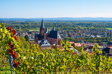 View over vines to St. Catherine's Church in Oppenheim/Germany in autumn