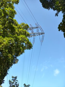 Baum und dahinter ein Strommast der zu teilen zu sehen ist, blauer klarer himmel