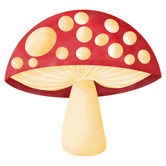 Watercolor mushroom on transparent background