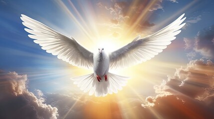 Holy spirit bird flies in skies, bright light shines from heaven, white dove - symbol of love and peace - descends from sky. - obrazy, fototapety, plakaty