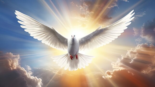 Holy spirit bird flies in skies, bright light shines from heaven, white dove - symbol of love and peace - descends from sky.