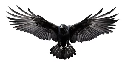 Fotobehang Birds flying ravens isolated on white background Corvus corax. Halloween - flying bird. silhouette of a large black bird cut on a white background for graphic design applications © HN Works