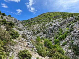Bijela voda stream canyon or Bijela river karst canyon, Karin Gornji - Croatia (Kanjon potoka Bijela voda ili krški kanjon Bijela rijeka, Karin Gornji - Hrvatska)