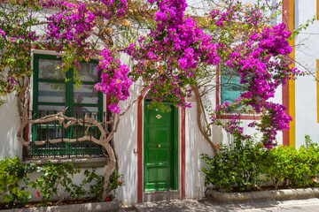 Blumen vor Hauseingang in der Altstadt von Puerto de Mogan auf der Insel Gran Canaria
