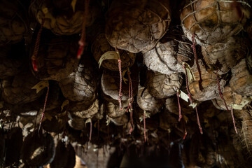 Culatello di Zibello traditional italian ham production cellar