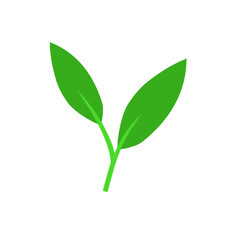 Green Leaf Icon 
