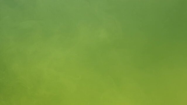 Yellow ink acrylic paint mixing in water, swirling softly underwater. Colored citric acrylic cloud of paint in aquarium. Abstract smoke explosion animation. Beautiful art background